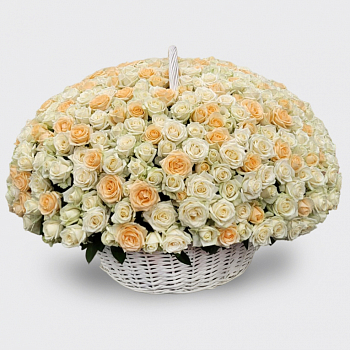 Букет 501 роза в корзине, белый микс