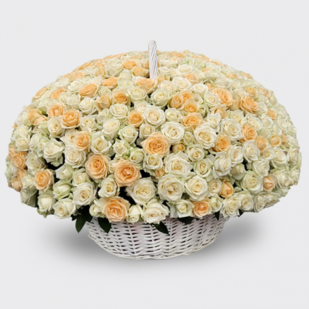Букет 501 роза в корзине, белый микс