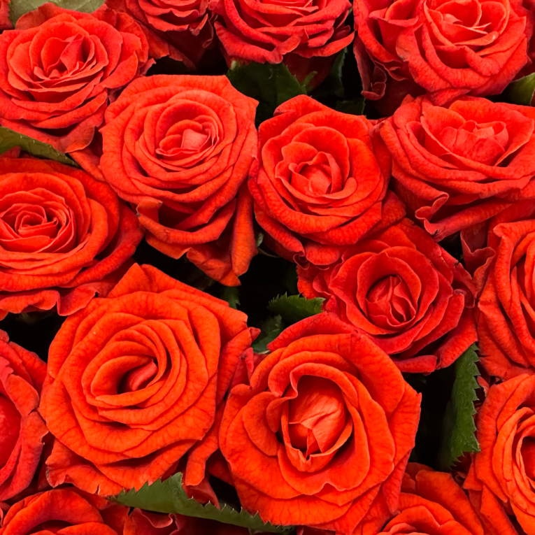 Букет в корзине Голос любви (751 роза)