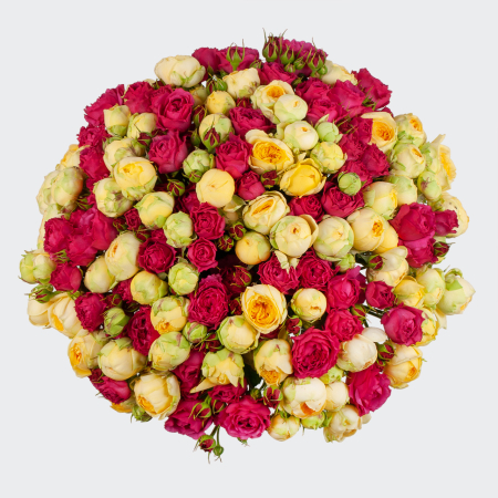 Букет из 51 розы Поцелуй Белоснежки