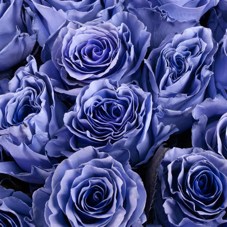 Букет 51 роза Сердце океана