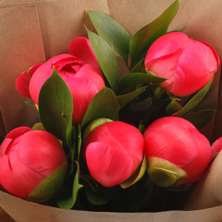 Букет из 5 пионов Шанхай