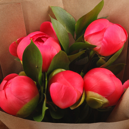 Букет из 5 пионов Шанхай