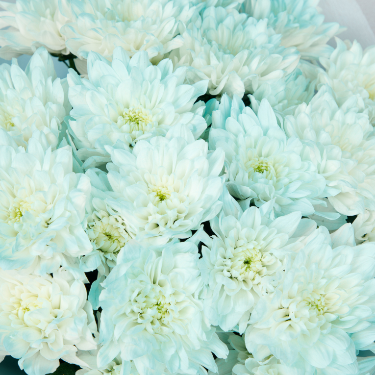 Букет Мечта о голубых облаках