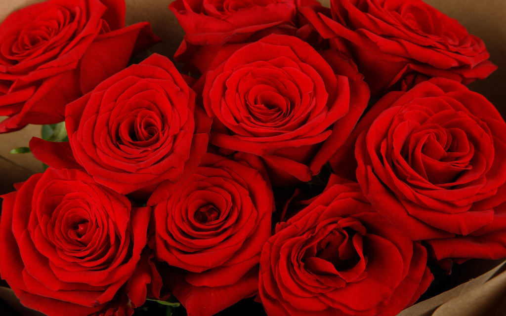 Букет из 9 красных роз Поцелуй меня