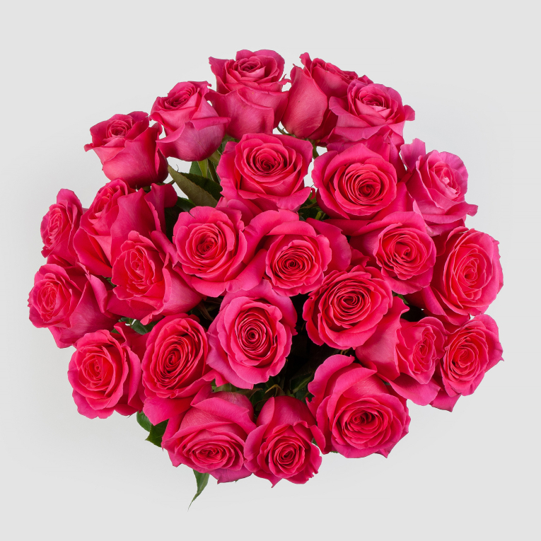 Букет 25 роз Пинк Флойд (Эквадор), 60 см
