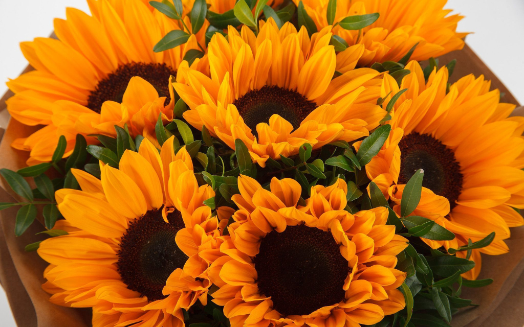 Букет с подсолнухами Солнечное лето + торт «Наполеон» (570 г)