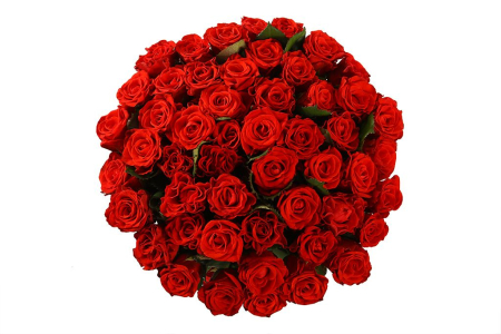 Букет 51 красная роза, 50 см