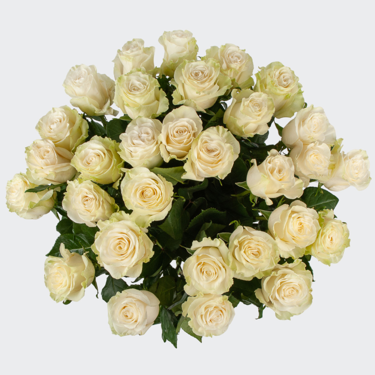 Букет 25 роз Мондиаль