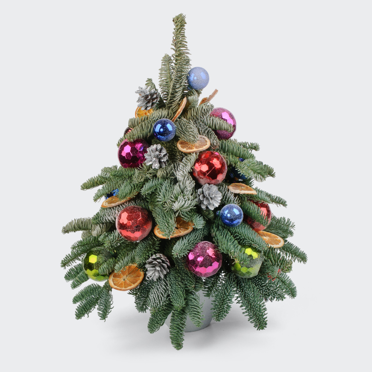 Композиция Рождественская магия