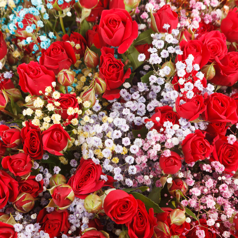 Букет Алые паруса