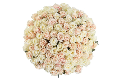 Букет 101 роза, белый микс