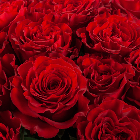 Букет 35 роз Хартс (Эквадор), 60 см