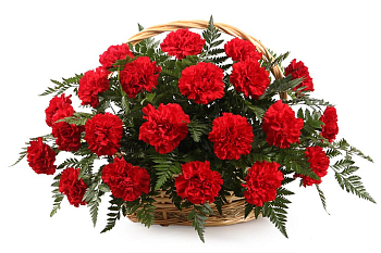 Букет с гвоздиками Импрессия в корзине