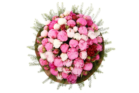 Букет из пионов Сенсация