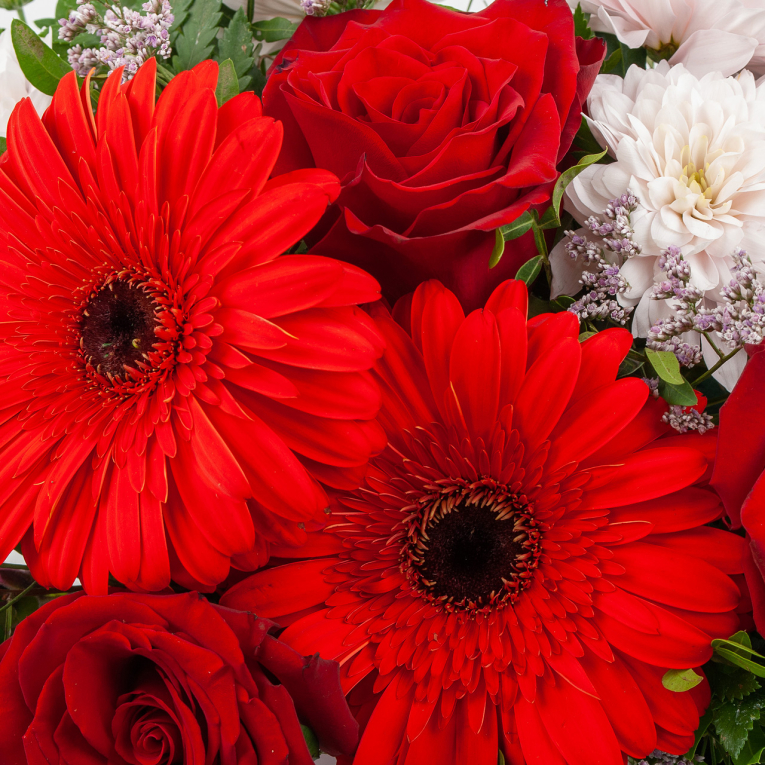 Композиция в кашпо Музыка сердца