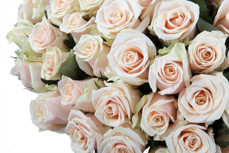 Букет 101 роза Талея в шляпной коробке