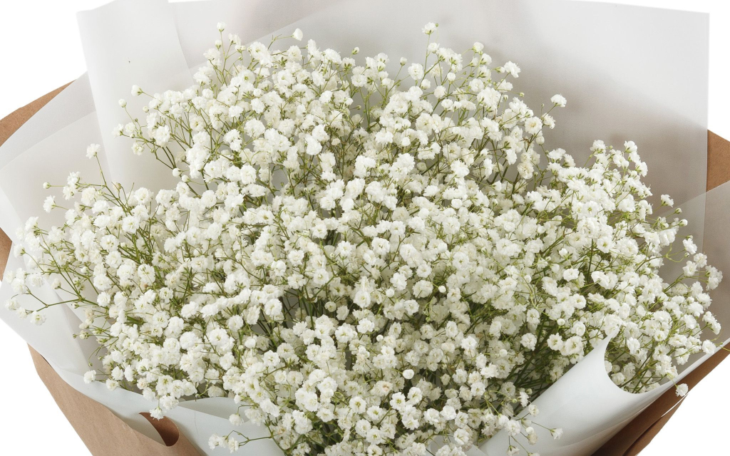 Букет Миллион звезд + торт «Мишка Тедди»