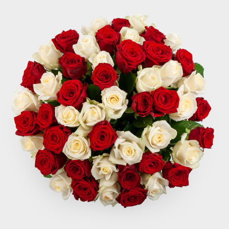 Букет 51 роза красно-белый микс (40 см)
