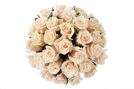 Букет 35 роз Талея в шляпной коробке