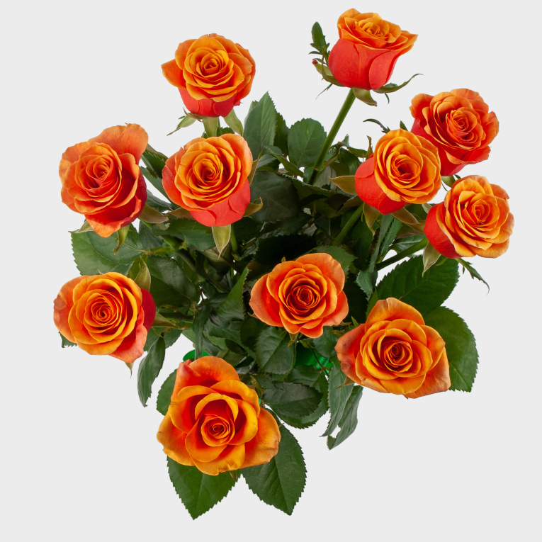 Букет из 11 роз Огненное сердце