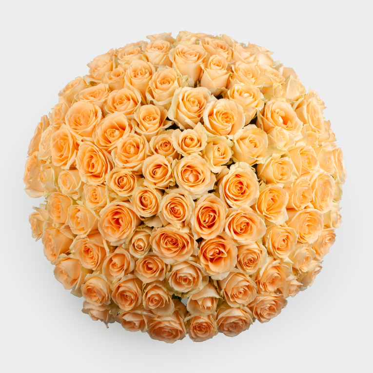 Букет из 101 розы Крем-брюле
