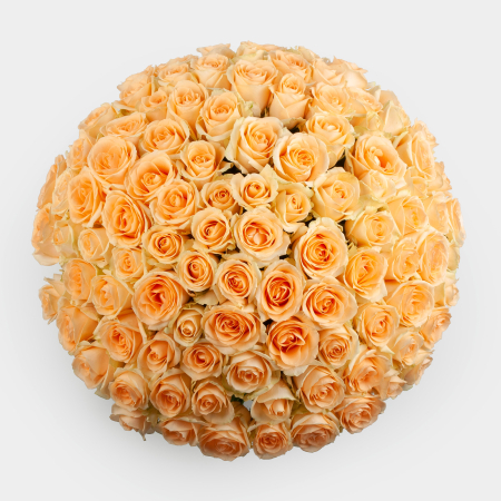 Букет из 101 розы Крем-брюле