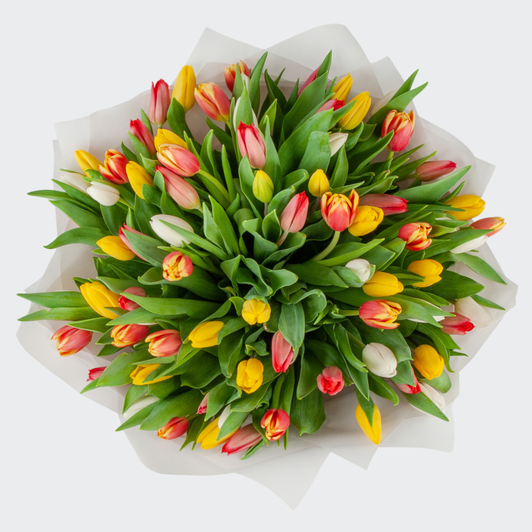Букет 75 тюльпанов Лучики солнца