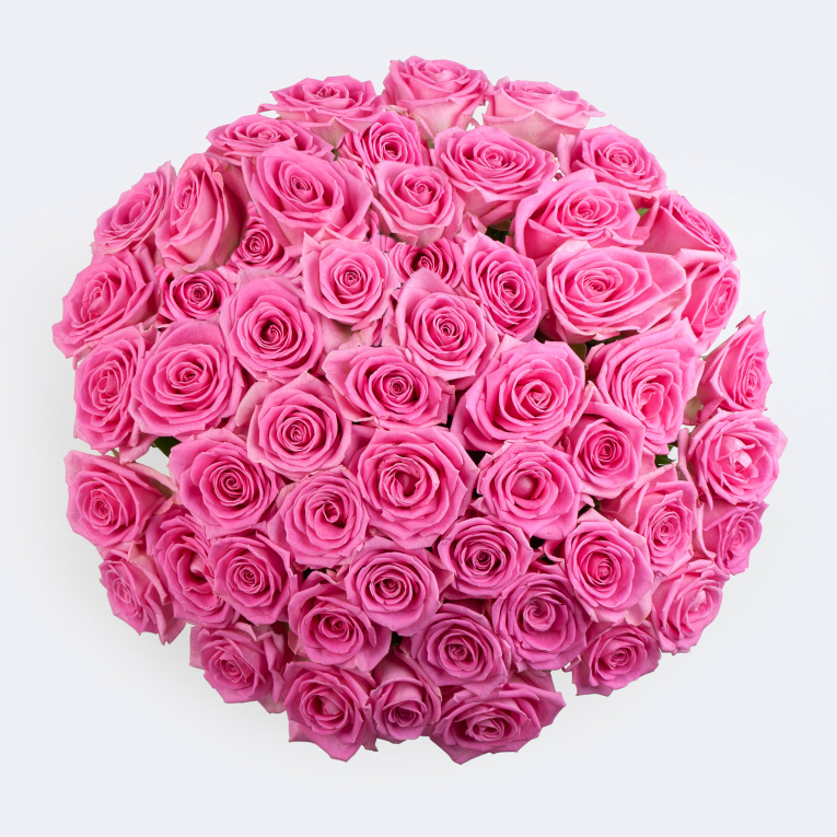 Букет из 51 розы Куколка
