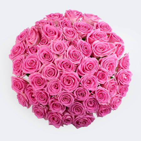 Букет из 51 розы Куколка