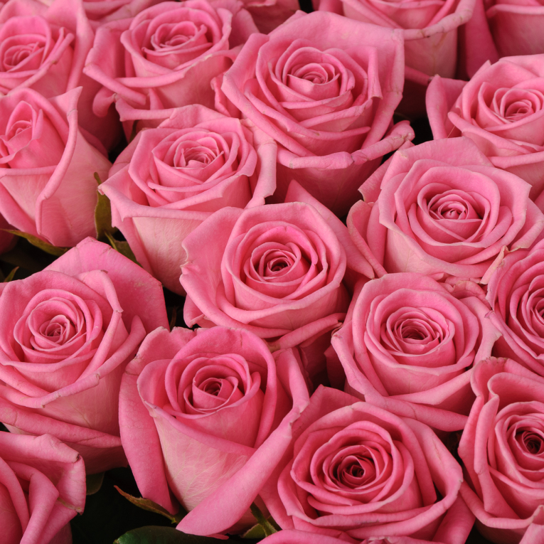 Букет 101 роза Розовая звезда