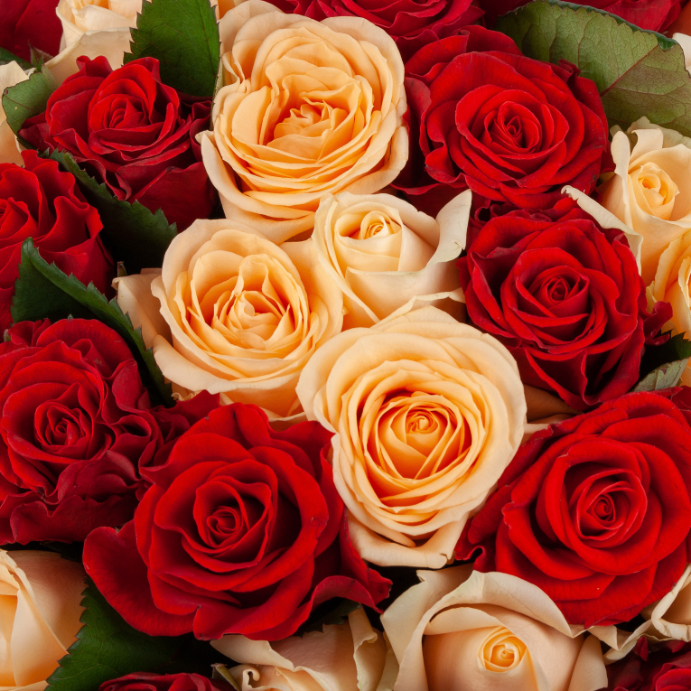 Букет из 101 розы До скорой встречи