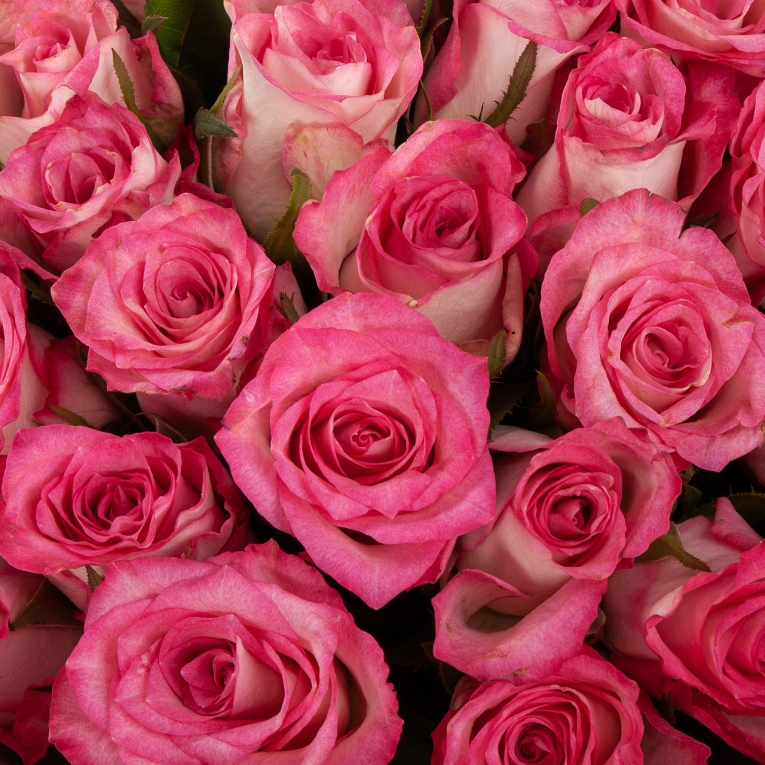 Букет из 51 розы Любовное приключение