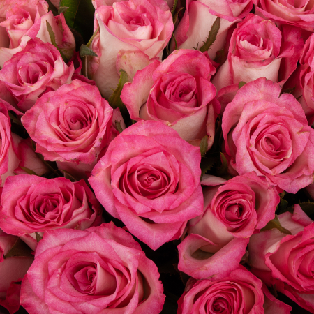 Букет из 51 розы Любовное приключение