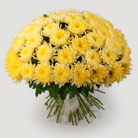 Букет из 51 желтой хризантемы Сингл