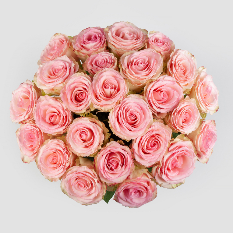 Букет 25 роз Эсперанс (Эквадор), 60 см