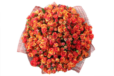 Букет 50 кустовых роз Фаер Флеш