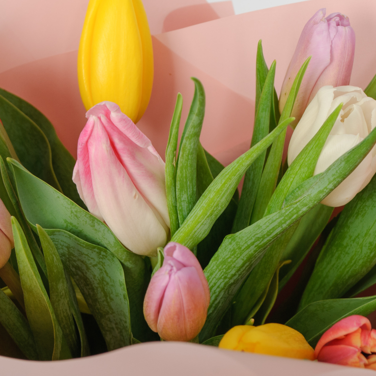 Букет 11 тюльпанов микс