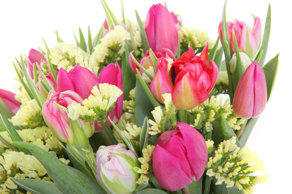 Букет Серебряная заря