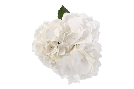 Букет Облако в коробке