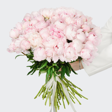 Букет из пионов 51 комплимент