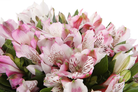 Букет из альстромерий Розовое облако