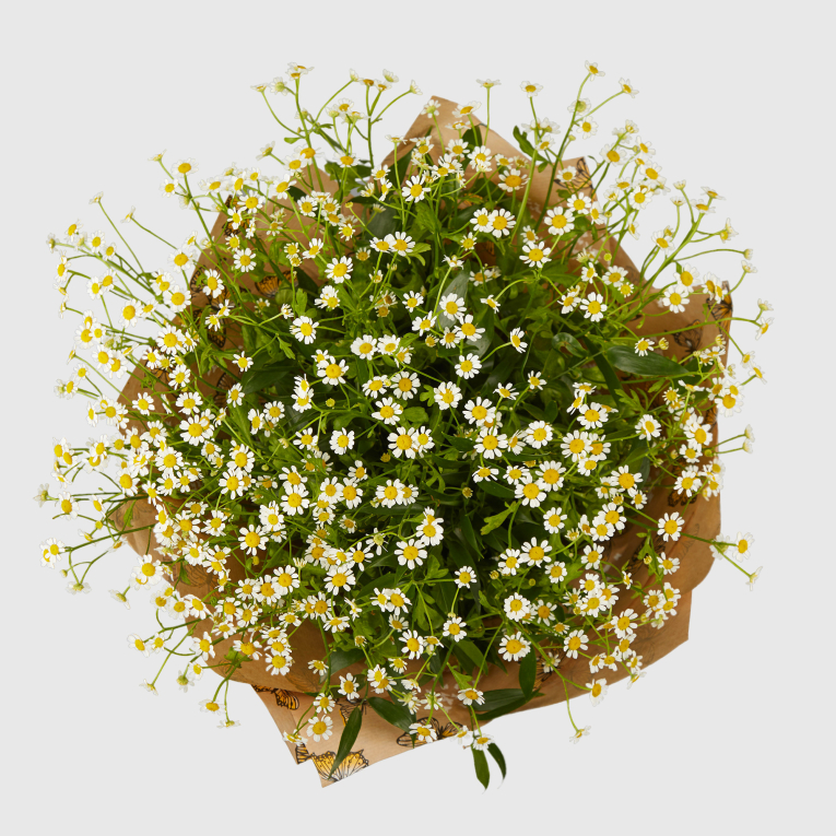 Букет с ромашками Дыхание полей