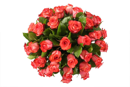 Букет 35 роз Игуана в корзине