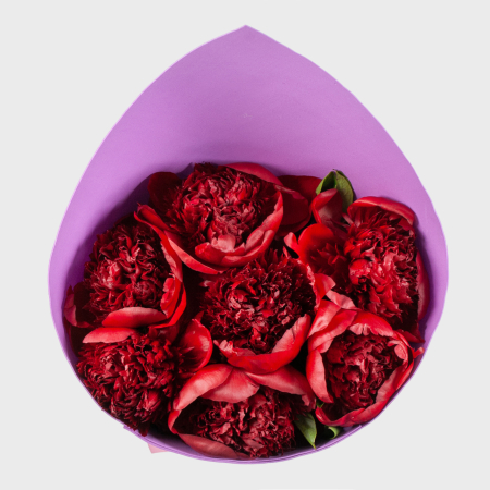 Букет 7 пионов Страстный порыв