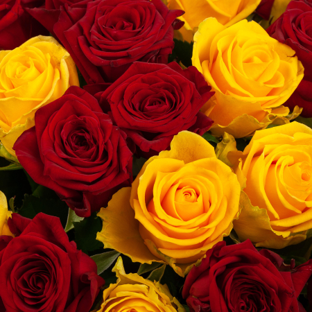 Букет из 51 розы Солнце Индии