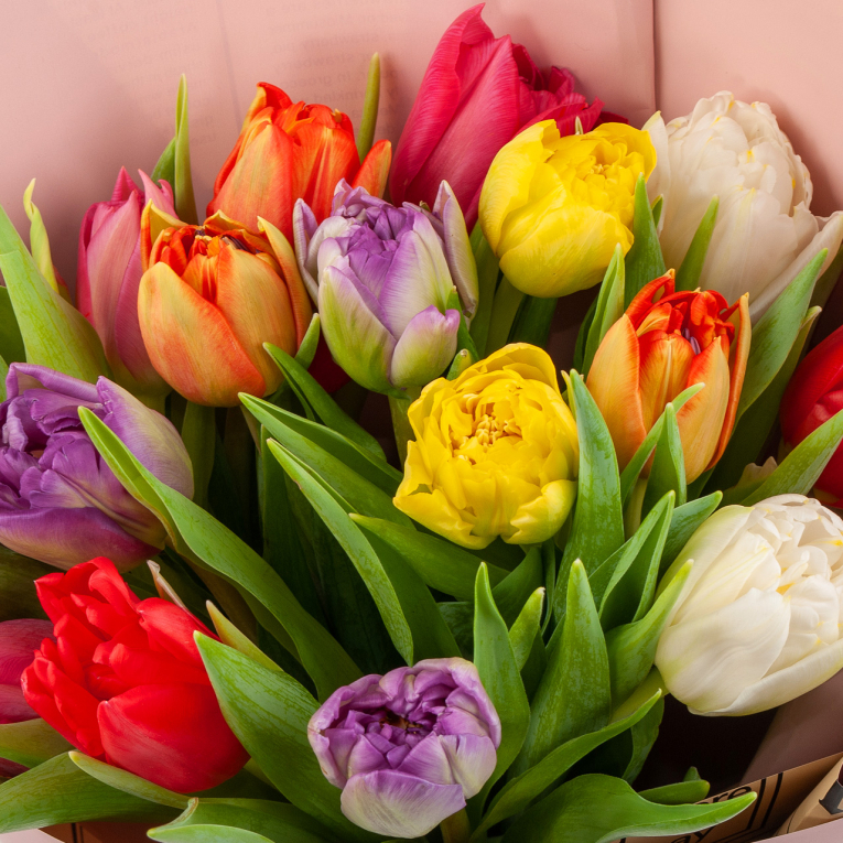 Букет 15 тюльпанов в розовой бумаге, микс
