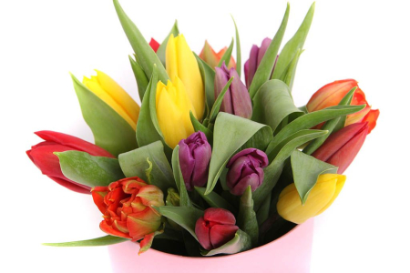 Букет 15 тюльпанов микс в розовой шляпной коробке