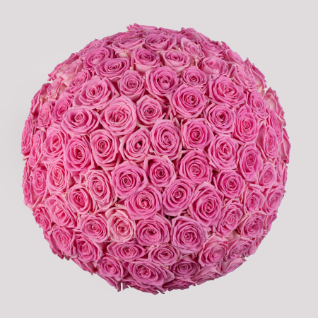 Букет в зеленой коробке Жар сердца (101 роза)