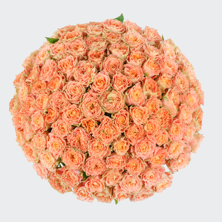 Букет из 101 розы Персиковое удовольствие